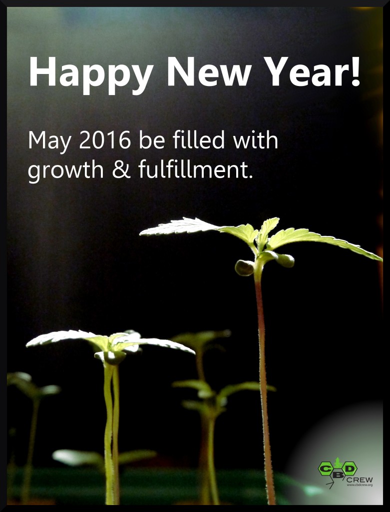HAppy new year CBD Crew 2016