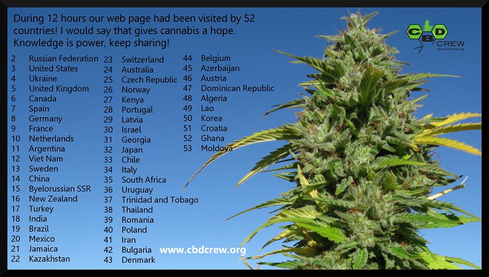 web countries